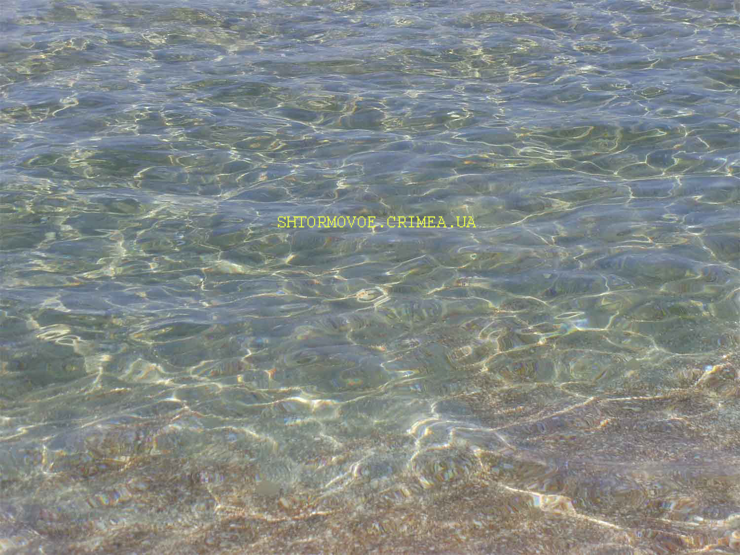 Фото Штормовое, Крым. Чистая прозрачная вода моря.